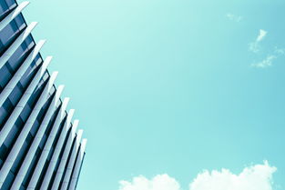 leyu.com-高校体育专业课程体系改革研究，高校体育专业课程体系改革研究方向